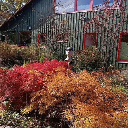 Farbenfroh Monteurzimmer Garten Wlan 3sz 120qm Apartment Wathlingen